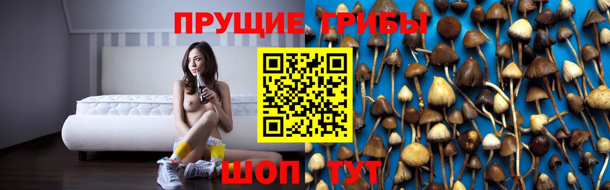 Грозный  цены   Вход с VPN  Галлюциногенные грибы мухоморы 